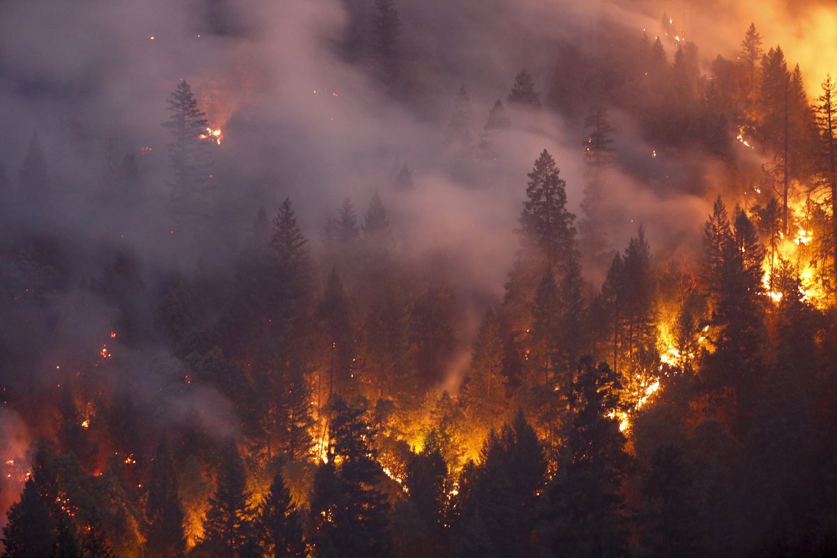 Here's how California has increased forest management and wildfire